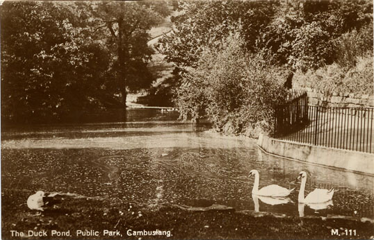 Duck Pond - Circa 1950 - Card No. M.111